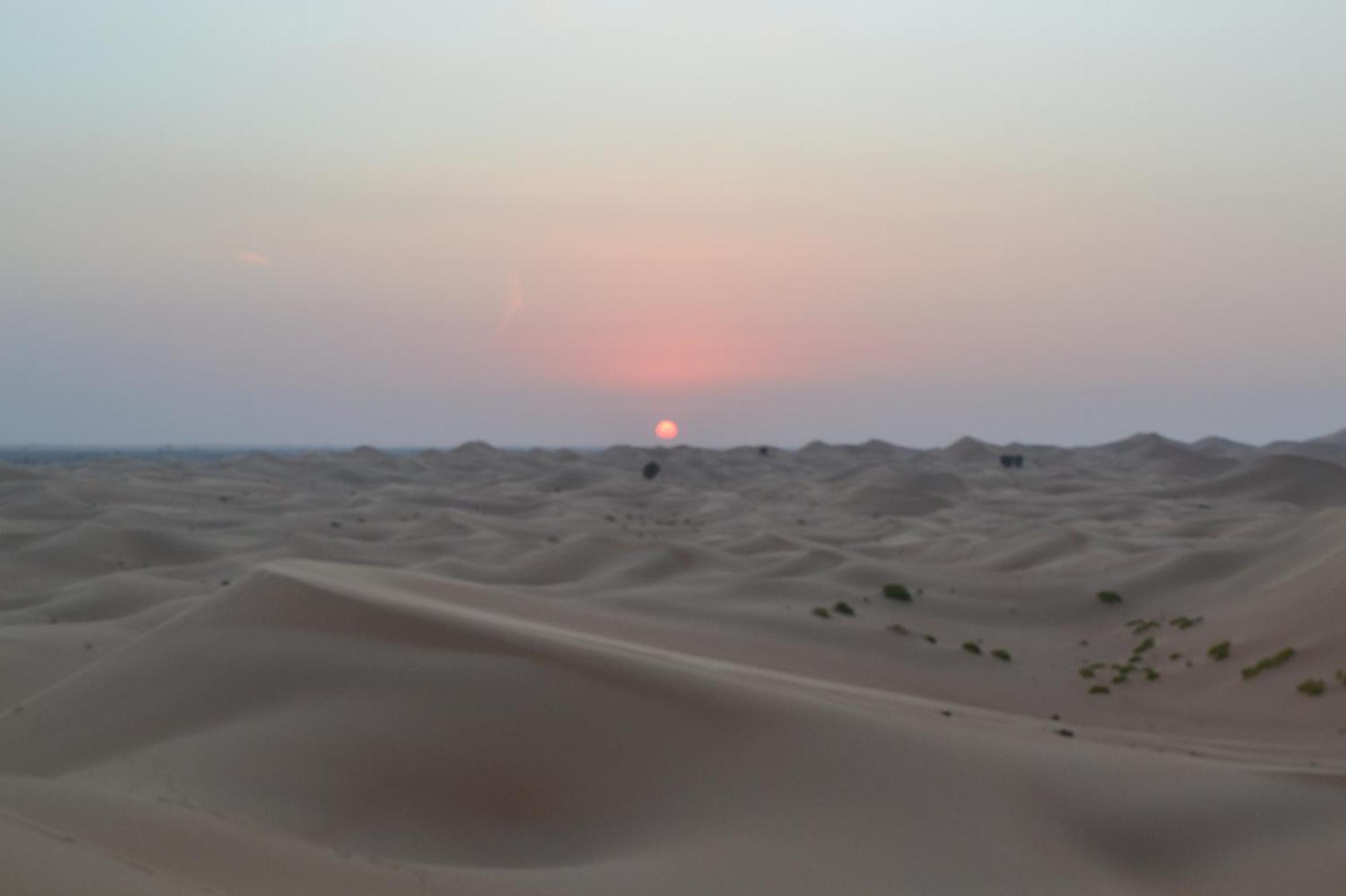 Farm Lebanon Abu Dhabi