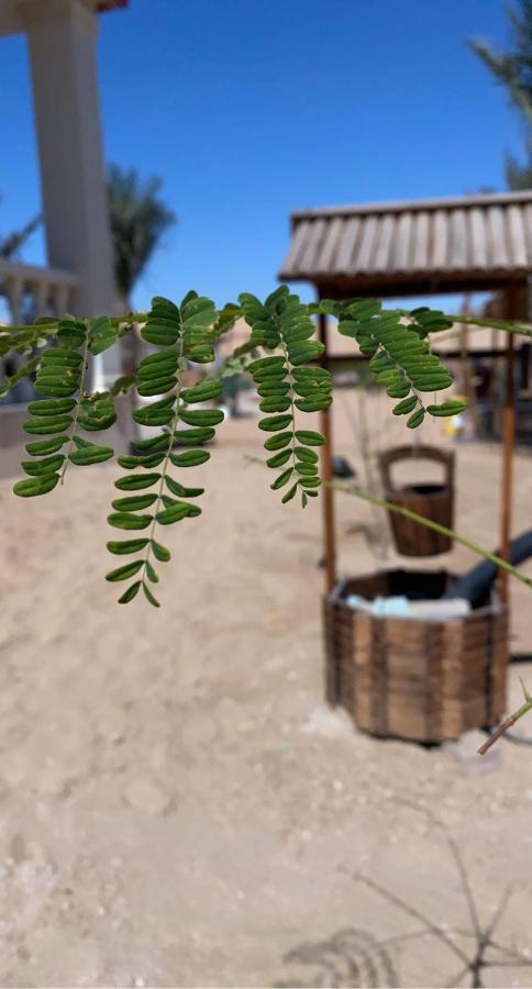 Farm Lebanon * Abu Dhabi